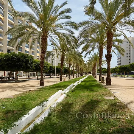 Lejlighed Executive 2 Bedroom Luxury By The Beach With King-size Bed *
